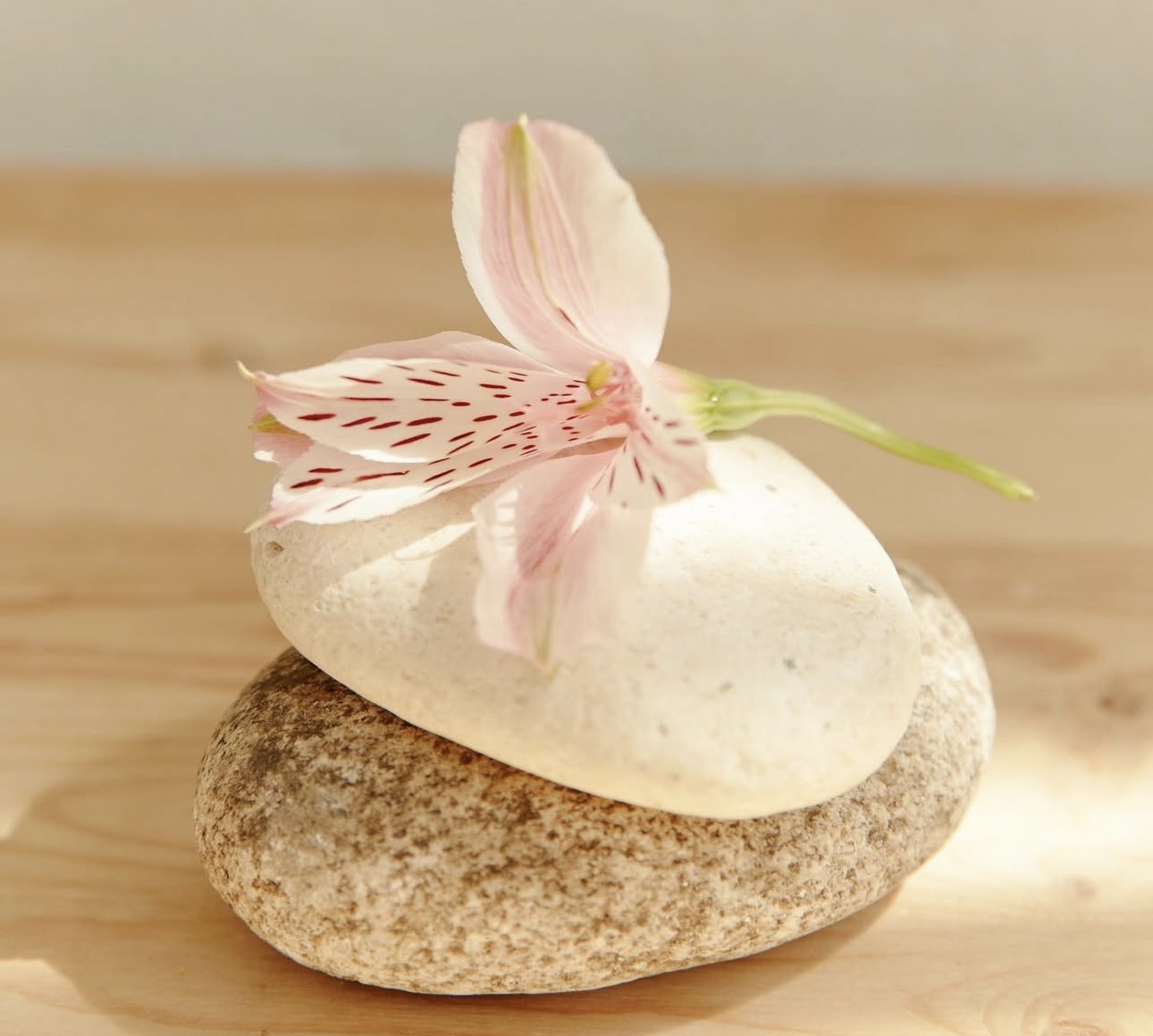 Holistic massage therapy treatment